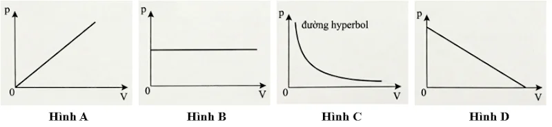 A graph of a function

AI-generated content may be incorrect.