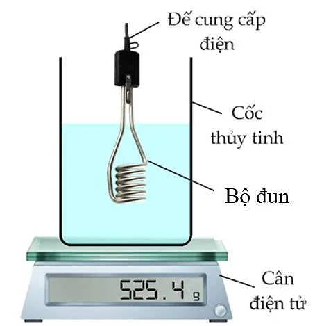 A close-up of a scale
AI-generated content may be incorrect.