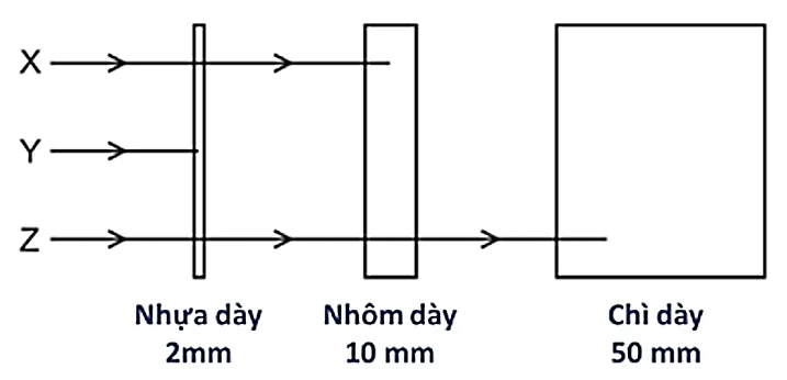 Ảnh có chứa hàng, biểu đồ, Sơ đồ, Song song

Nội dung do AI tạo ra có thể không chính xác.