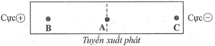 Ảnh có chứa văn bản, hàng, Phông chữ, số

Nội dung do AI tạo ra có thể không chính xác.