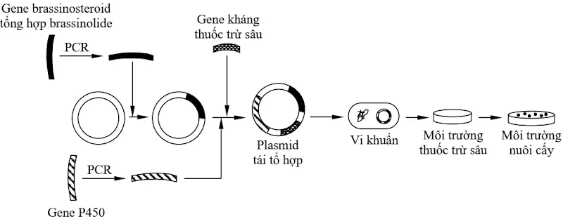 Ảnh có chứa văn bản, Phông chữ, biểu đồ, ảnh chụp màn hình

Nội dung do AI tạo ra có thể không chính xác.