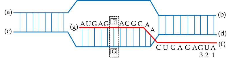 Ảnh có chứa ảnh chụp màn hình, biểu đồ, hàng, thiết kế

Nội dung do AI tạo ra có thể không chính xác.
