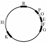 Ảnh có chứa vòng tròn, bản phác thảo
Nội dung do AI tạo ra có thể không chính xác.