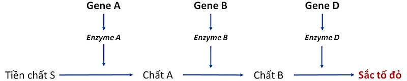 Ảnh có chứa văn bản, hàng, Phông chữ, ảnh chụp màn hình

Nội dung do AI tạo ra có thể không chính xác.