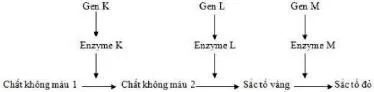 Ảnh có chứa hàng, biểu đồ, văn bản, Phông chữ

Nội dung do AI tạo ra có thể không chính xác.