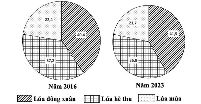 Ảnh có chứa vòng tròn, biểu đồ

Nội dung do AI tạo ra có thể không chính xác.