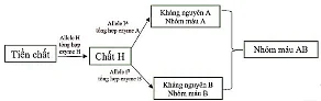 Ảnh có chứa văn bản, ảnh chụp màn hình, Phông chữ, biểu đồ

Nội dung do AI tạo ra có thể không chính xác.