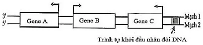Ảnh có chứa văn bản, Phông chữ, hàng, màu trắng

Nội dung do AI tạo ra có thể không chính xác.