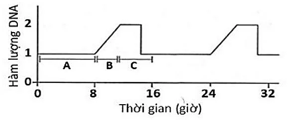 Ảnh có chứa biểu đồ, hàng, Phông chữ, văn bản

Nội dung do AI tạo ra có thể không chính xác.