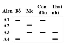 Ảnh có chứa văn bản, Phông chữ, hàng, ảnh chụp màn hình

Nội dung do AI tạo ra có thể không chính xác.