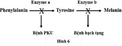 Ảnh có chứa văn bản, hàng, Phông chữ, biên lai

Nội dung do AI tạo ra có thể không chính xác.