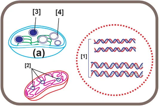 Theo lý thuyết, nhận định nào sau đây Sai?