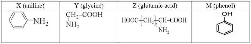 Ảnh có chứa văn bản, Phông chữ, hàng, ảnh chụp màn hình

Nội dung do AI tạo ra có thể không chính xác.