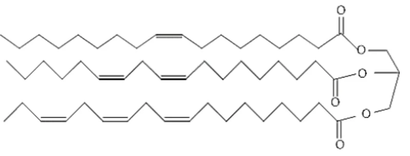Ảnh có chứa nghệ thuật gấp giấy origami, biểu đồ, hàng, mẫu

Nội dung do AI tạo ra có thể không chính xác.