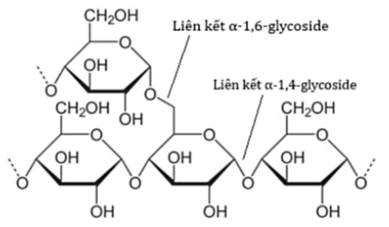 Ảnh có chứa biểu đồ, nghệ thuật gấp giấy origami, hàng
Nội dung do AI tạo ra có thể không chính xác.