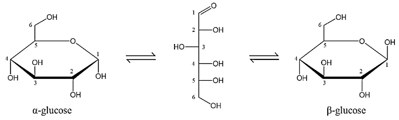 Ảnh có chứa biểu đồ, hàng, bản phác thảo, Bản vẽ kỹ thuật

Nội dung do AI tạo ra có thể không chính xác.