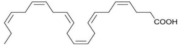 Ảnh có chứa biểu đồ, hàng, màu trắng, thiết kế

Nội dung do AI tạo ra có thể không chính xác.