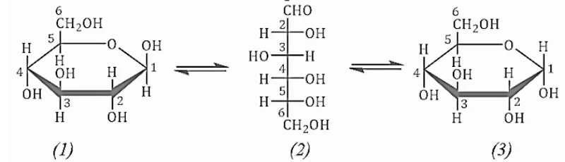 Ảnh có chứa biểu đồ, hàng, màu trắng, Kế hoạch

Nội dung do AI tạo ra có thể không chính xác.