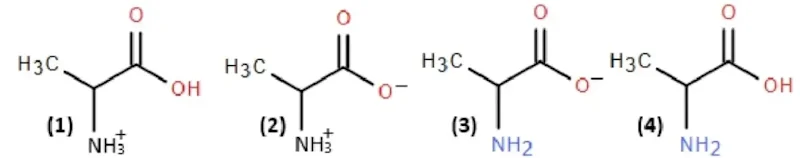 Ảnh có chứa biểu đồ, hàng

Nội dung do AI tạo ra có thể không chính xác.