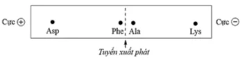 Ảnh có chứa văn bản, hàng, Phông chữ, ảnh chụp màn hình

Nội dung do AI tạo ra có thể không chính xác.