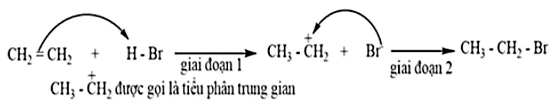 Ảnh có chứa văn bản, Phông chữ, màu trắng, hàng

Nội dung do AI tạo ra có thể không chính xác.