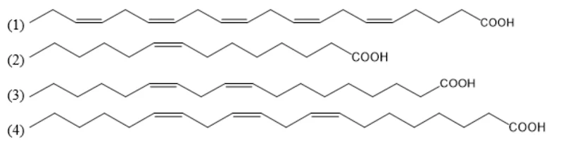 Ảnh có chứa màu trắng, hàng, nghệ thuật gấp giấy origami, mẫu

Nội dung do AI tạo ra có thể không chính xác.