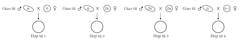 Ảnh có chứa văn bản, chữ viết tay, Phông chữ, biểu đồ

Nội dung do AI tạo ra có thể không chính xác.