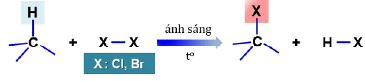 A blue and black arrow with black text

Description automatically generated