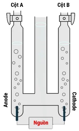 A diagram of a test tube

AI-generated content may be incorrect.