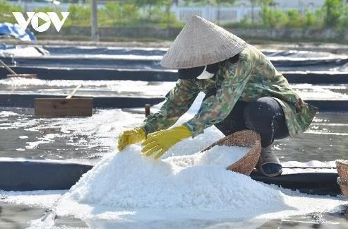 Nghề làm Muối Sa Huỳnh được công nhận Di sản Văn hóa phi vật thể quốc gia