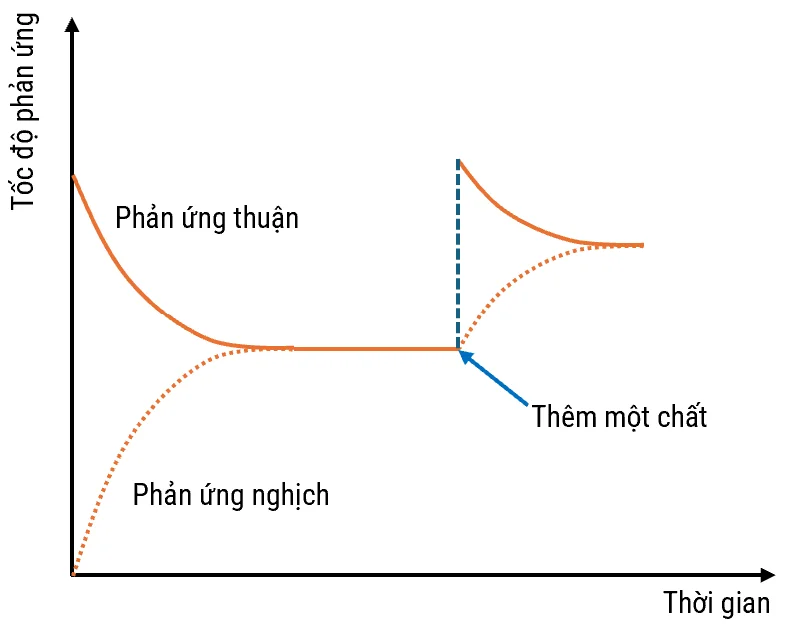 The image depicts a graph with a line that illustrates the concepts of acceleration (ￄﾑ￡ﾺﾡm gia), deceleration (ph￡ﾺﾣn ￡ﾻﾩng ngh￡ﾻﾋch), and time (th￡ﾻﾝi giam).

AI-generated content may be incorrect.