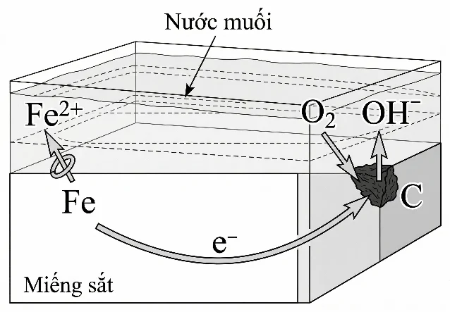 The image depicts a diagram illustrating a chemical reaction involving iron (Fe), oxygen (O2), and a charge transfer, with the elements Fe2+ and OH- being involved.

AI-generated content may be incorrect.