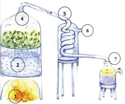 Ảnh có chứa bản phác thảo, hình vẽ, Tác phẩm nghệ thuật của trẻ con, hình mẫu

Nội dung do AI tạo ra có thể không chính xác.