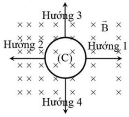 Ảnh có chứa Phông chữ, vòng tròn, màu trắng, biểu đồ

Nội dung do AI tạo ra có thể không chính xác.