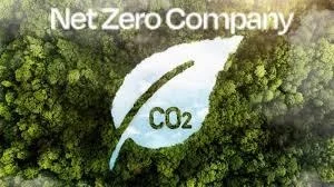 Net Zero Company funding news - Carbon Removal Company Net Zero Company Secures $5.5 Million in Seed Funding